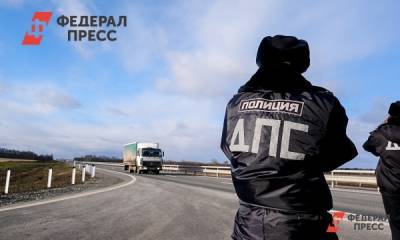 Полина Зиновьева - В Челябинской области приостановили выдачу штрафов дальнобойщикам - fedpress.ru - Челябинская обл.