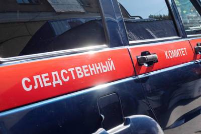 На стройке нашли тело 12-летней российской школьницы - lenta.ru - Россия - Сахалинская обл.
