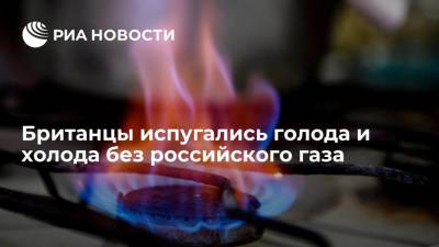 Читатели Daily Mail испугались голода и холода без российского газа - ria.ru - Москва - Англия - Великобритания