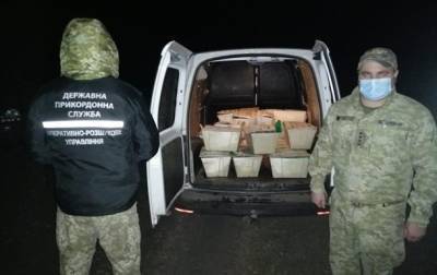 Пограничники изъяли почти полтонны устриц на границе с РФ - korrespondent.net - Россия - Украина - Луганская обл. - Франция