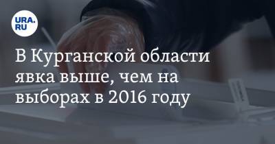 В Курганской области явка выше, чем на выборах в 2016 году. Но до рекорда далеко - ura.news - Курганская обл. - Курган