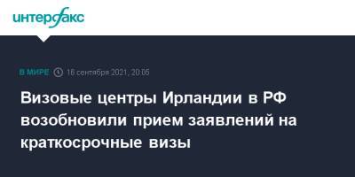 Визовые центры Ирландии в РФ возобновили прием заявлений на краткосрочные визы - interfax.ru - Москва - Россия - Санкт-Петербург - Краснодар - Екатеринбург - Новосибирск - Нижний Новгород - Саратов - Казань - Ростов-На-Дону - Самара - Омск - Ирландия