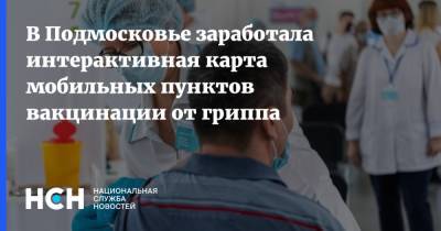 Светлана Стригункова - В Подмосковье заработала интерактивная карта мобильных пунктов вакцинации от гриппа - nsn.fm - Московская обл.