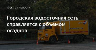 Городская водосточная сеть справляется с объемом осадков - mos.ru - Москва