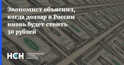 Экономист объяснил, когда доллар в России вновь будет стоить 30 рублей - nsn.fm - Россия