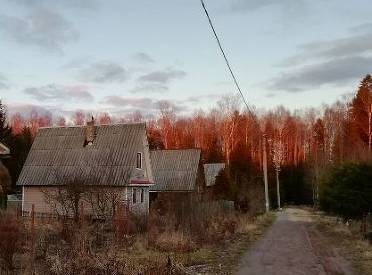 Стали известны подробности гибели изнасилованной и убитой мигрантами пенсионерки - newsland.com - Россия - Московская обл.