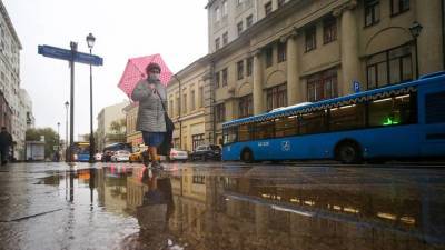 Свыше 40 процентов месячной нормы осадков выпало в столице за двое суток - vm.ru - Москва - Россия