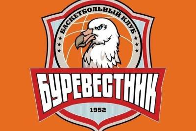 В Ярославле пытаются реанимировать «Буревестник» - yar.mk.ru - Сирия - ЦФО - Ярославль