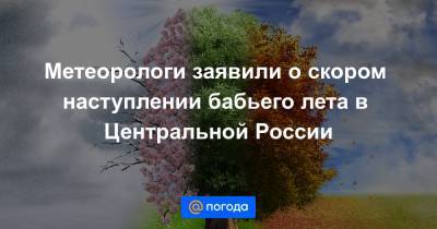 Метеорологи заявили о скором наступлении бабьего лета в Центральной России - news.mail.ru - Россия