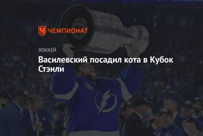 Андрей Василевский - Василевский посадил кота в Кубок Стэнли - championat.com