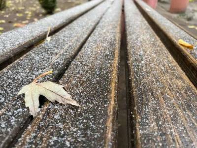 На Вторую Пречистую в Украине выпадет первый снег - lenta.ua - Украина - Киев - Крым