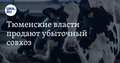Тюменские власти продают убыточный совхоз. На его покупку выделяли в два раза больше денег - ura.news - Тюмень - Тюменская обл.