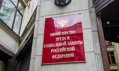 Татьяна Голикова - Министерство труда подготовило план по борьбе с теневой занятостью граждан - og.ru - Россия