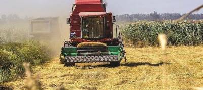 Андрей Коробка - На Кубани аграрии собираются сохранить урожай риса на уровне 2020 года - runews24.ru