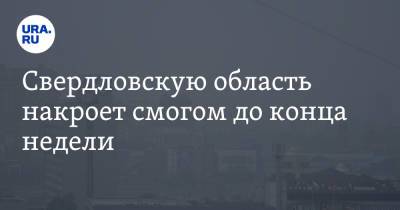 Свердловскую область накроет смогом до конца недели - ura.news - Екатеринбург - Свердловская обл.