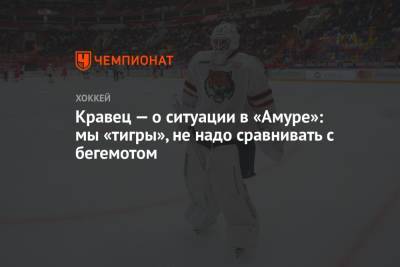 Михаил Кравец - Кравец — о ситуации в «Амуре»: мы «тигры», не надо сравнивать с бегемотом - championat.com