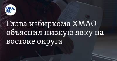 Глава избиркома ХМАО объяснил низкую явку на востоке округа - ura.news - Югра