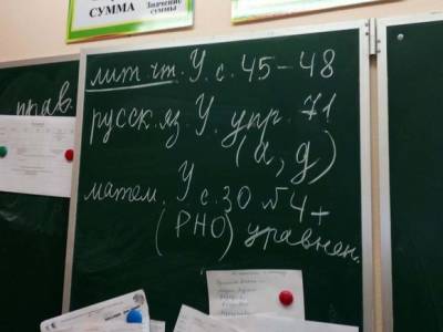 Петербуржец, «заминировавший» 1 сентября школу, отделался условным сроком - rosbalt.ru - Санкт-Петербург - район Фрунзенский