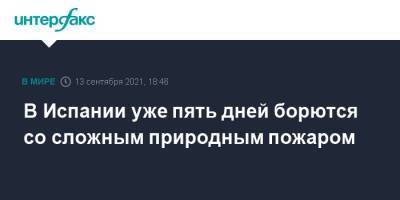 В Испании уже пять дней борются со сложным природным пожаром - interfax.ru - Москва - Испания