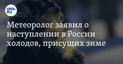 Александр Шувалов - Метеоролог заявил о наступлении в России холодов, присущих зиме - ura.news - Россия - Экология