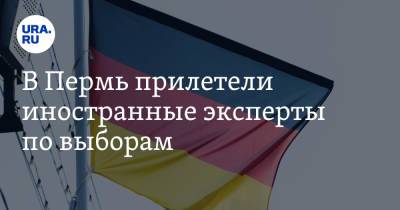 В Пермь прилетели иностранные эксперты по выборам - ura.news - Германия - Пермь - Пермский край - Бангладеш