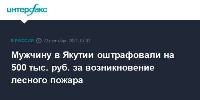 Мужчину в Якутии оштрафовали на 500 тыс. руб. за возникновение лесного пожара - interfax.ru - Москва - Россия - респ. Саха