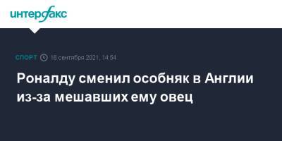 Криштиану Роналду - Роналду сменил особняк в Англии из-за мешавших ему овец - sport-interfax.ru - Москва - Англия - Португалия