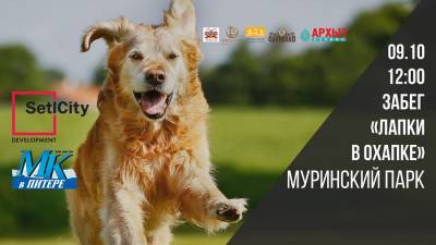 В Муринском парке пройдет марафон «Лапки в охапке» - neva.today - Санкт-Петербург