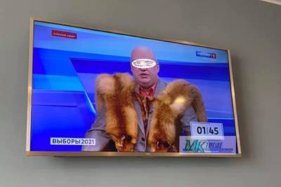 Ярославский политик пришел на теледебаты в боа из лисицы - yar.mk.ru - Ярославль