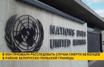 В ООН призвали расследовать случаи смерти беженцев в районе белорусско-польской границы - ont.by - Белоруссия