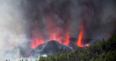 Извержение вулкана на Канарах: эвакуировано две тысячи человек (видео) - focus.ua - Украина - Испания