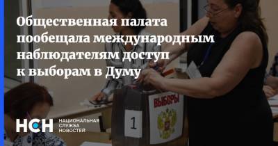 Максим Григорьев - Общественная палата пообещала международным наблюдателям доступ к выборам в Думу - nsn.fm - Москва - Россия
