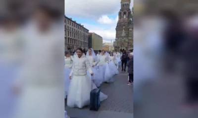 В центре Петербурга обнаружили толпу невест - neva.today - Санкт-Петербург