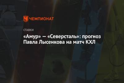 Андрей Разин - Павел Лысенков - «Амур» — «Северсталь»: прогноз Павла Лысенкова на матч КХЛ - championat.com - Москва - Сочи - Хабаровск - Череповец