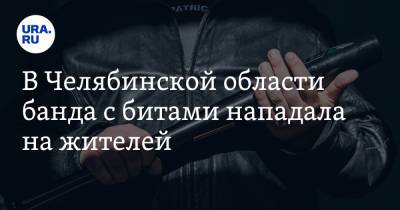 В Челябинской области банда с битами нападала на жителей - ura.news - Челябинская обл.