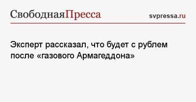 Александр Купцикевич - Эксперт рассказал, что будет с рублем после «газового Армагеддона» - svpressa.ru - США
