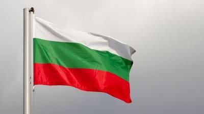 Жители Болгарии о «Запад — 2021»: «Только сильная палка удержит англосаксов» - 5-tv.ru - Россия - Белоруссия - Болгария
