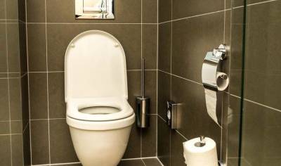 5 самых опасных поверхностей в общественных туалетах - skuke.net