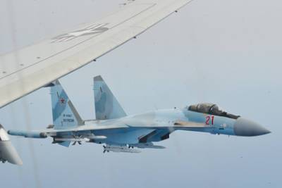 В Африке оценили победителя боя между Су-35 и Rafale - lenta.ru - Россия - Юар