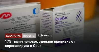 175 тысяч человек сделали прививку от коронавируса в Сочи - kubnews.ru - Сочи - Краснодарский край