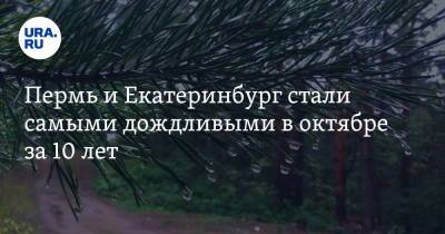 Пермь и Екатеринбург стали самыми дождливыми в октябре за 10 лет - ura.news - Екатеринбург - Челябинск - Пермь