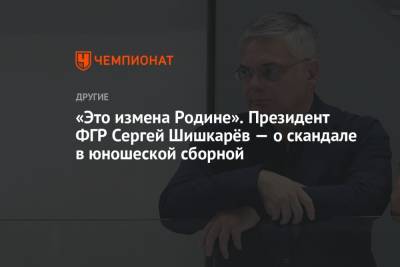 Сергей Шишкарев - «Это измена Родине». Президент ФГР Сергей Шишкарёв – о скандале в юношеской сборной - championat.com - Австрия - Россия - Дания