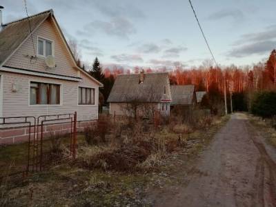 «Не дошла до дома 400 м»: стали известны подробности гибели изнасилованной и убитой мигрантами пенсионерки - rosbalt.ru - Московская обл.