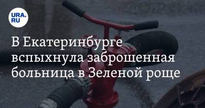 В Екатеринбурге вспыхнула заброшенная больница в Зеленой роще. Фото - ura.news - Екатеринбург - Свердловская обл.