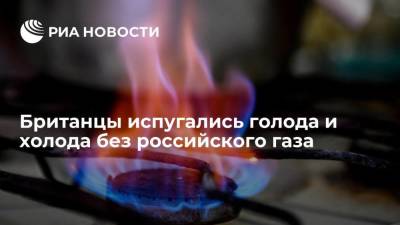Читатели Daily Mail испугались голода и холода без российского газа - smartmoney.one - Москва - Англия
