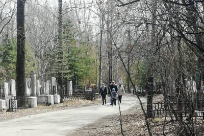Школу на центральном кладбище Хабаровска не строят - hab.aif.ru - Хабаровск