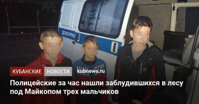 Полицейские за час нашли заблудившихся в лесу под Майкопом трех мальчиков - kubnews.ru - респ. Адыгея - Майкоп