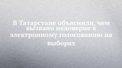 Андрей Кондратьев - В Татарстане объяснили, чем вызвано недоверие к электронному голосованию на выборах - chelny-izvest.ru - Москва - Россия - респ. Татарстан