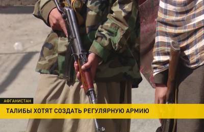 Талибы планируют создать регулярную армию в Афганистане - ont.by - Белоруссия - Афганистан