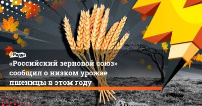 «Российский зерновой союз» сообщил онизком урожае пшеницы вэтом году - ridus.ru - Россия